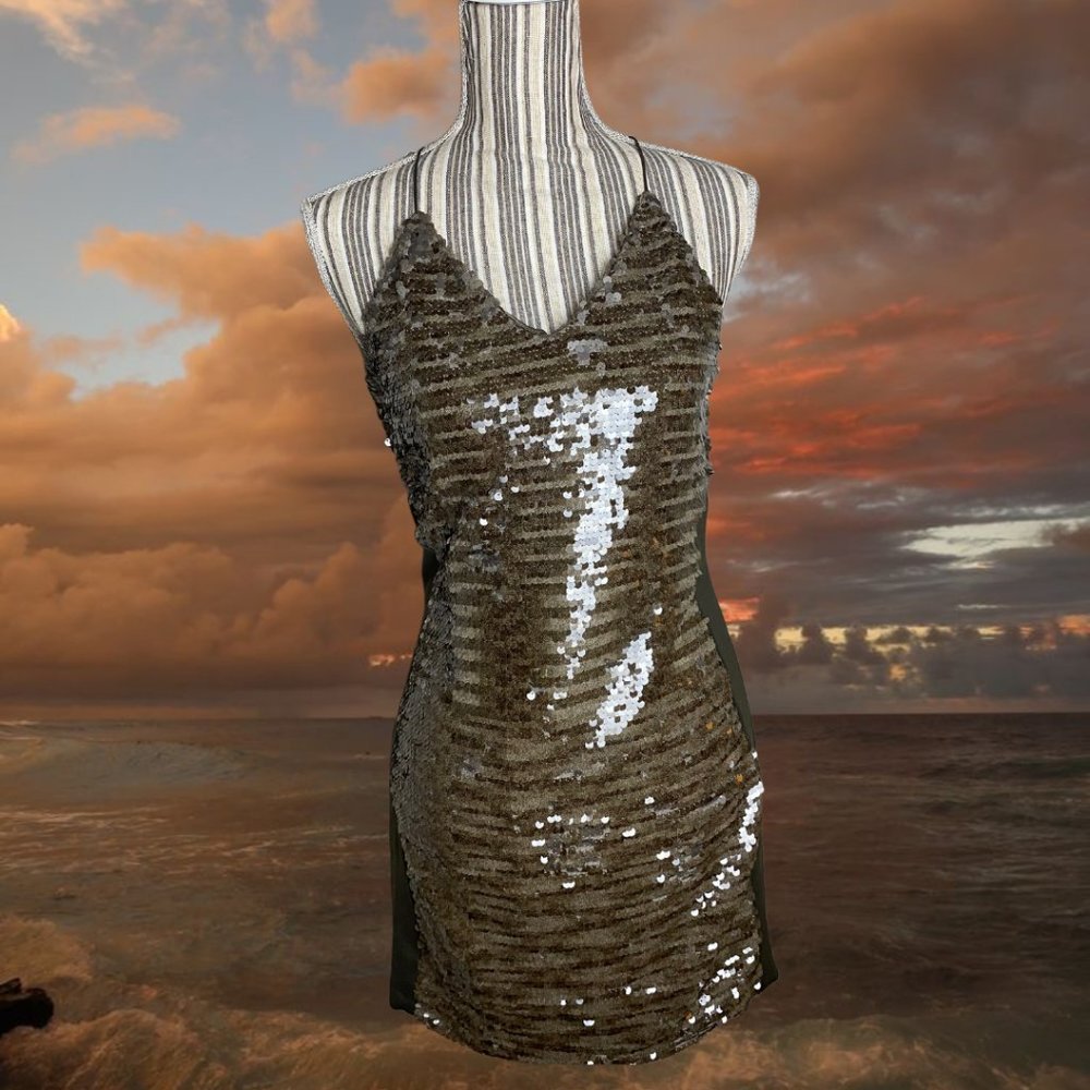 NWOT GREYLIN Size Small Grey and Brown Sequin Evening Party Dress